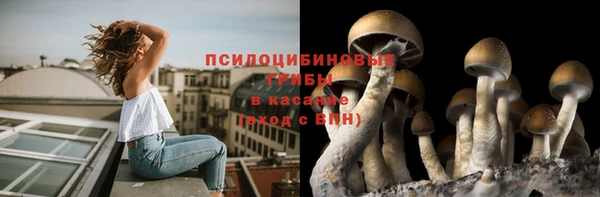 мдпв Сафоново