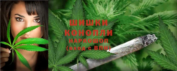 мдпв Сафоново