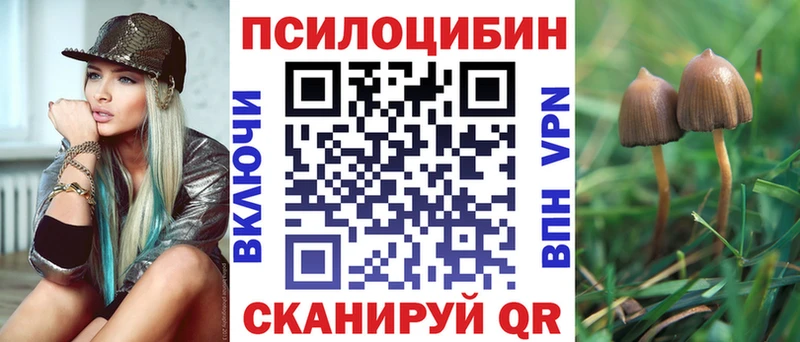Псилоцибиновые грибы прущие грибы  дарнет шоп  гидра ссылки  Яровое 